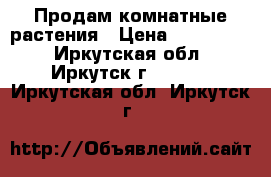 Продам комнатные растения › Цена ­ 100-1500 - Иркутская обл., Иркутск г.  »    . Иркутская обл.,Иркутск г.